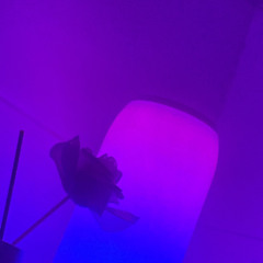 springenergy