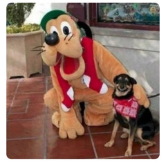 det