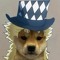 Speedwagon Doge