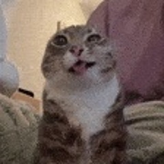 ??????