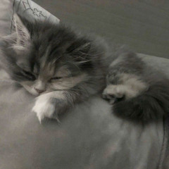 Khánh Hoàng Nguyên