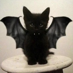 Порезы (luvnote & saint dagger)