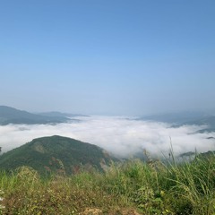 Nguyễn Đăng Tú