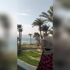 Tabark Nidal