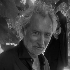 Xavier Jaari