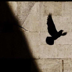 نفس تواقة