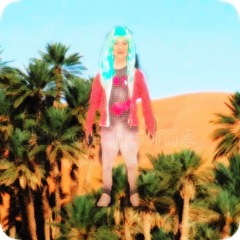 laSIM