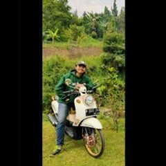 pop indonesia