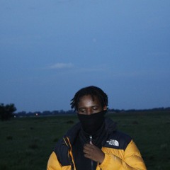 Panda The Hokage