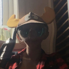 Dj Kroten
