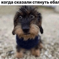 perdozavimasкурва