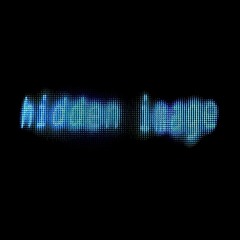 Hidden Image