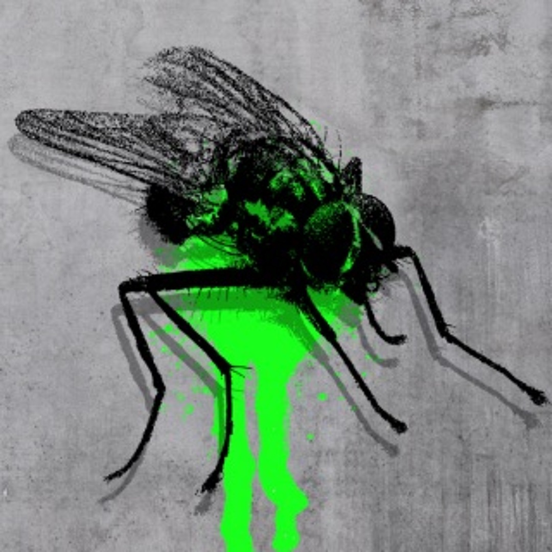洋楽 FLY ON THE WALL Fly on the Wall - YouTube