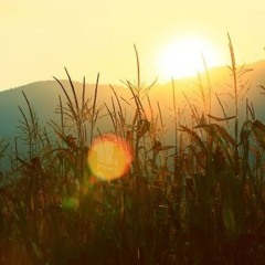essence of you