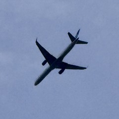 XI