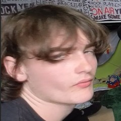 THE/RUNESCAPE/CAMBOY