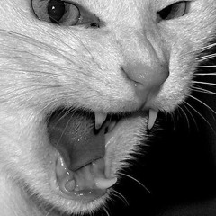 Leonii