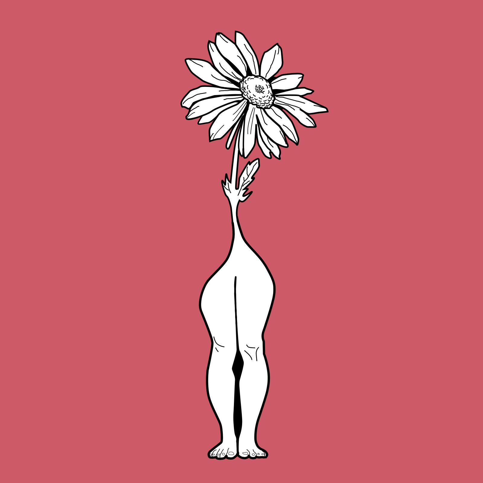 A Wander Through The Woods - Improv Sessions