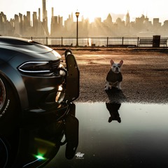 DOMINIC MOODY-CASTAGNA