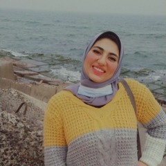 Sara Elshrief