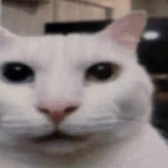 juliuswhat