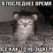 я с твоими паханами твой рот ебал