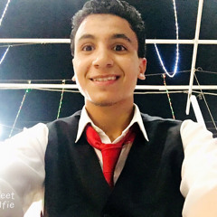 Mohamed Elsaid