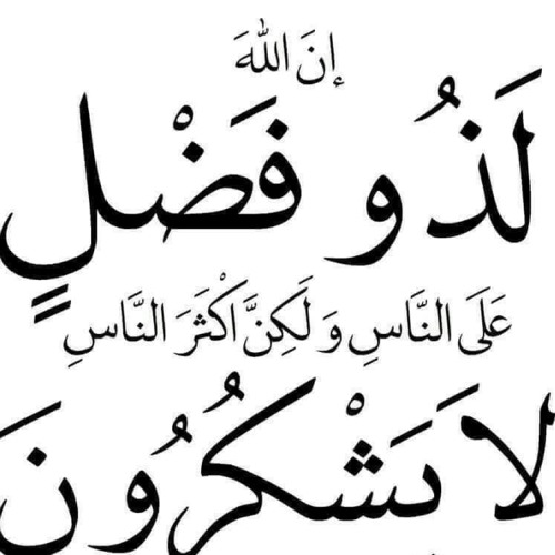 لا اله إلا الله وحده لا شريك له ١٠٠ مره مشاري العفاسي