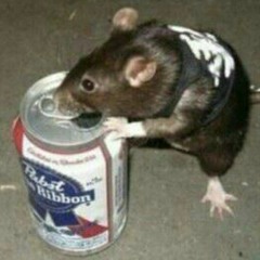 rat with beer