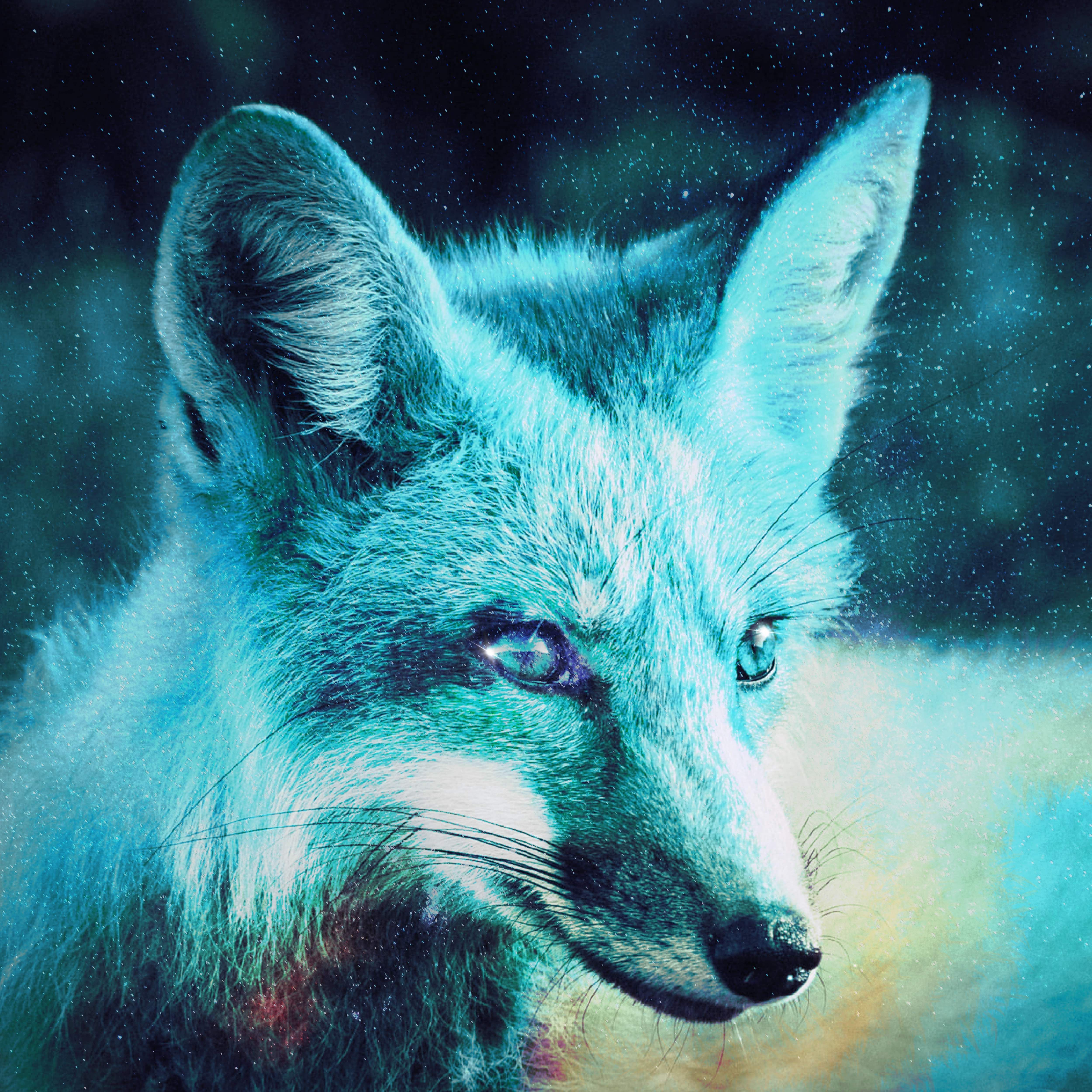 Carter Fox podcast artwork