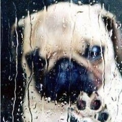 sadog of the endless a1one