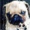 sadog of the endless a1one