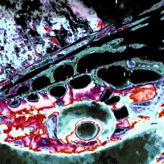 𝑪𝒐𝒓𝒑 𝑺𝒘𝒆𝒆𝒕𝒉𝒆𝒂𝒓𝒕