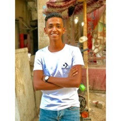 Mohamed Galal
