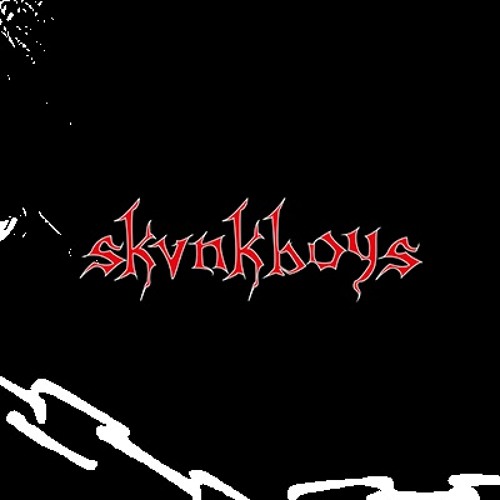 skvnkboys’s avatar