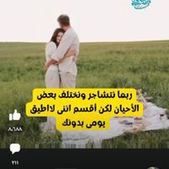 بيبو الدولي