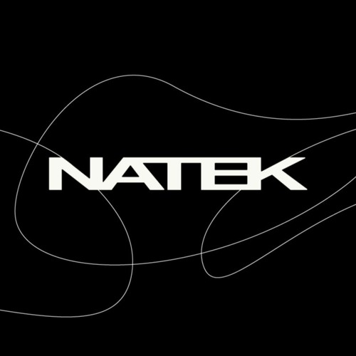 NATEK.LAB’s avatar