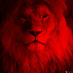 mufasa_eric