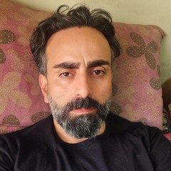 Mohammad Reza Borghei