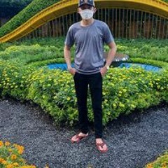 Trần Phong