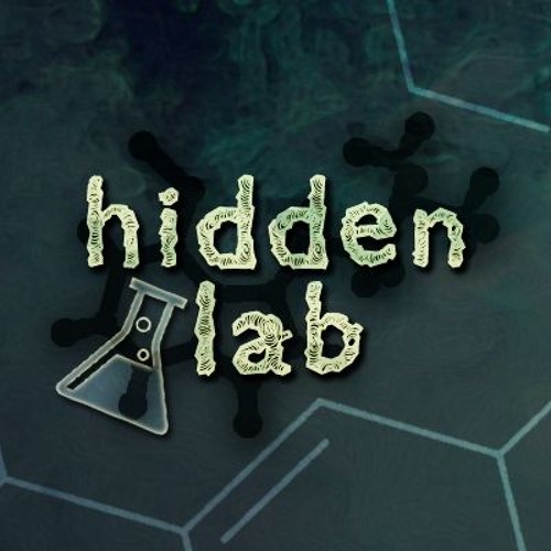 Hidden Lab’s avatar
