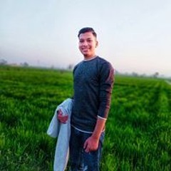Daoud Nady Daoud