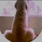 Arollisto