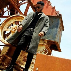KING STEDI