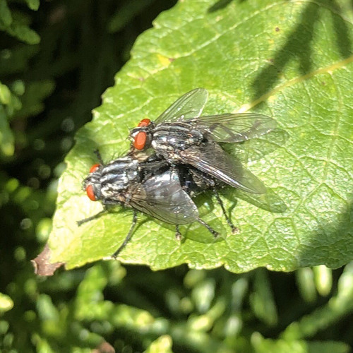 Kamaya Painters - Endless Wave - John Crichton Mix