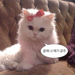 나비 🦋
