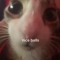 Tom