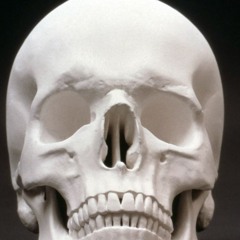 Dark playlist