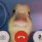 d u c k s