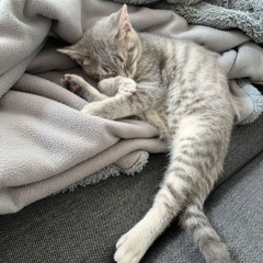 daisuki second acc :D! ^)^TTTTTT